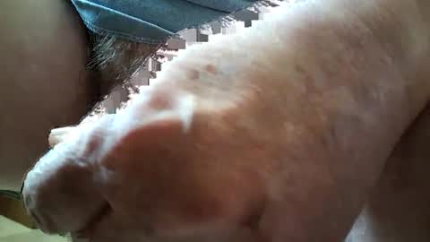 Always crusing cams online show from 02/17/25, 05:43