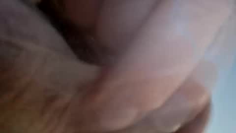 Snapshot of ridik2222333375562 chatting on 04/13/26, 02:28 ridik2222333375562 online show from 04/13/26, 02:28