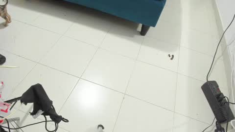 Snapshot of rihanna_hotx chatting on 11/12/25, 02:56 Rihanna hotx online show from 11/12/25, 02:56