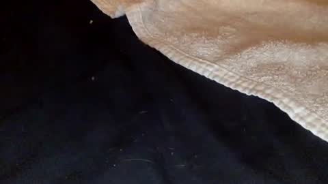 Snapshot of rimalovar chatting on 12/20/25, 01:45 rimalova online show from 12/20/25, 01:45