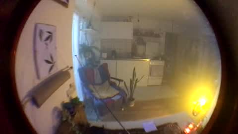 Snapshot of riod_rainforest_1983 chatting on 10/19/25, 04:18 Rotrigo online show from 10/19/25, 04:18