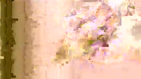 Snapshot of rlevey33 chatting on 04/08/26, 05:07 rlevey33 online show from 04/08/26, 05:07