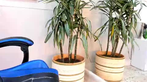Roan Birkin online show from 07/17/26, 07:19