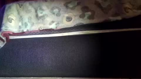 Snapshot of robert227818 chatting on 11/08/25, 06:13 robert227818 online show from 11/08/25, 06:13