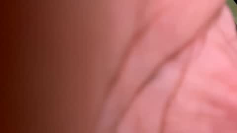 Snapshot of roberto925 chatting on 01/10/25, 07:11 roberto925 online show from 01/10/25, 07:11