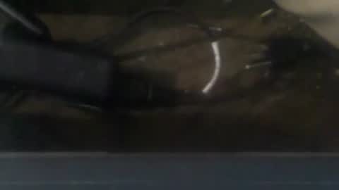 R online show from 12/20/24, 03:36