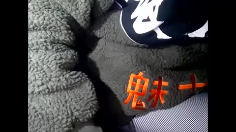 R online show from 03/01/25, 08:13