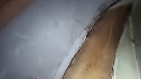 R online show from 10/01/25, 04:29