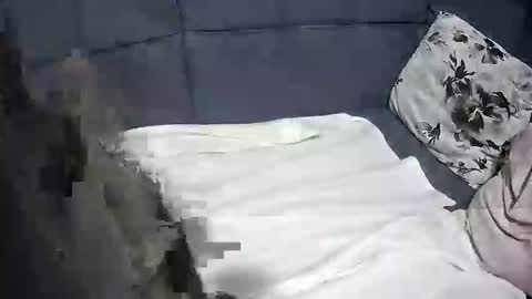 Snapshot of roccosan chatting on 10/04/25, 06:17 roccosan online show from 10/04/25, 06:17