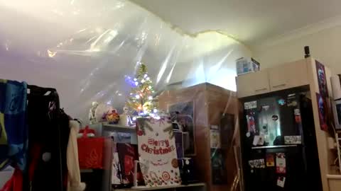rod77knee online show from 12/23/24, 02:13