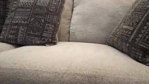 roger59267 online show from 10/31/25, 07:59