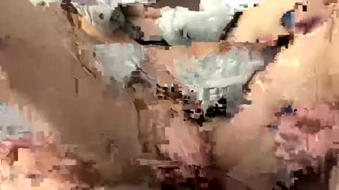 roidrager44 online show from 03/06/25, 03:45