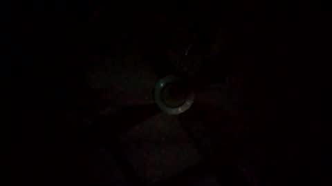 rompeculos121 online show from 03/09/25, 11:47