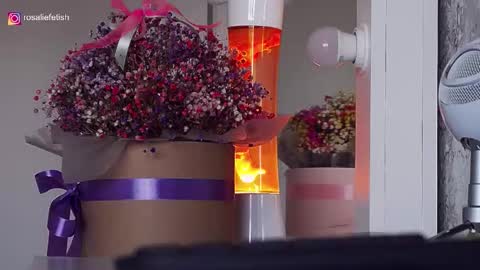 Rosalie online show from 09/15/25, 08:47