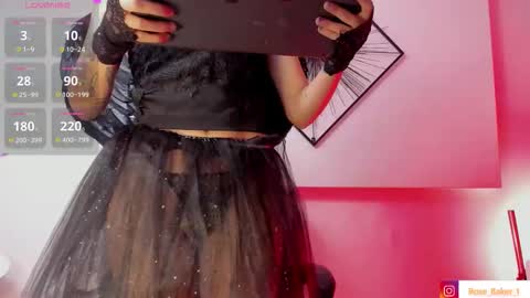  ROSE BAKER  online show from 10/31/25, 11:44