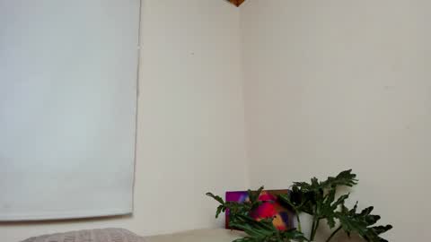 Lyla OF roselinedior online show from 12/22/24, 04:17