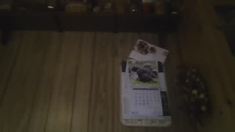 Snapshot of roses2u1958 chatting on 01/01/25, 08:04 roses2u1958 online show from 01/01/25, 08:04