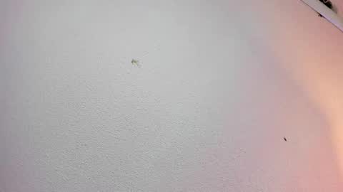 rosie_jhons online show from 02/02/25, 03:21