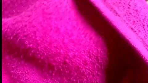 Rosi online show from 07/14/26, 01:41