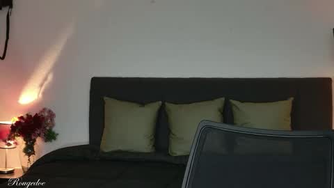 Snapshot of rougedoe chatting on 03/29/26, 04:45 Mistress Lana online show from 03/29/26, 04:45