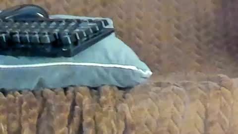 rouse_sexy_hotxx77 online show from 06/14/26, 03:08
