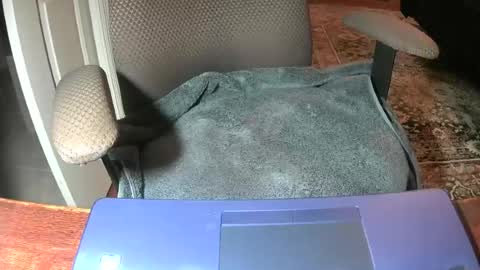 Lookingaround online show from 06/22/26, 08:55