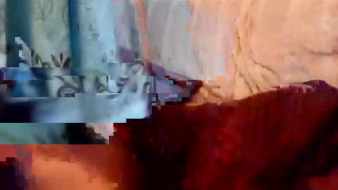 Snapshot of rpauldj chatting on 11/08/25, 10:41 rpauldj online show from 11/08/25, 10:41