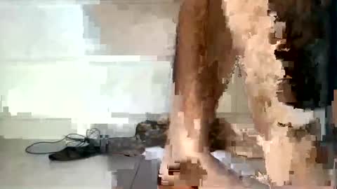 Snapshot of rumel_desi chatting on 12/05/24, 06:33 tareq online show from 12/05/24, 06:33