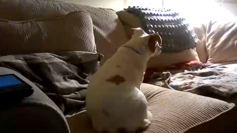 Rusty online show from 10/18/25, 02:25