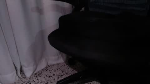 rx7900xtx online show from 12/04/25, 03:27