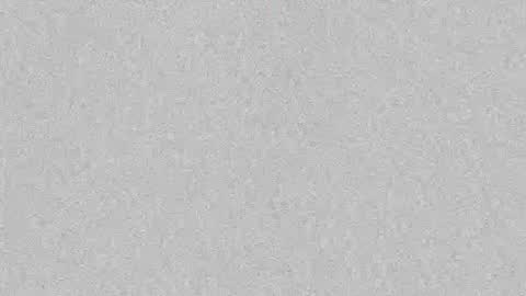 Leslie Beltrn online show from 10/06/25, 03:59