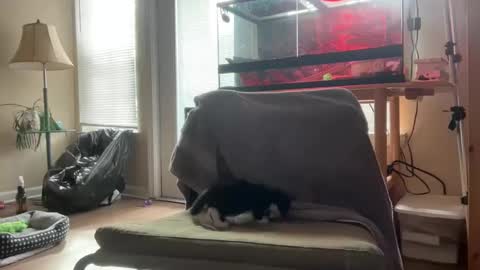 Snapshot of sabrosocockcarnesandwich chatting on 10/05/25, 02:59 sabrosocockcarnesandwich online show from 10/05/25, 02:59