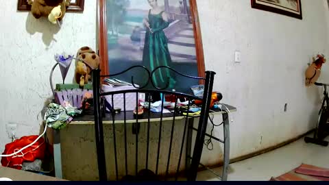 Snapshot of sailor_ruby7 chatting on 10/02/25, 09:11 ruby  chocoholic cakeholic coffeeholic cookieholic online show from 10/02/25, 09:11