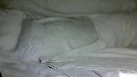 SD17 online show from 12/31/24, 03:12