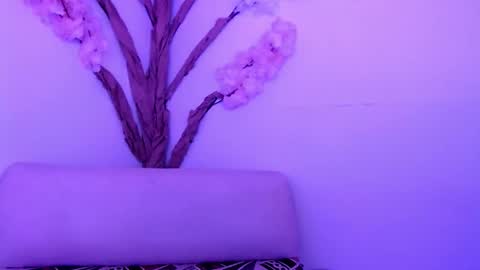 Hikari online show from 10/23/25, 07:01