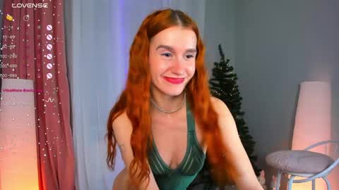 Snapshot of sallybiscuit chatting on 12/28/24, 04:52 Sally online show from 12/28/24, 04:52