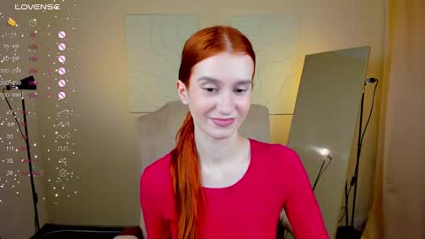 Snapshot of sallybiscuit chatting on 01/30/25, 10:40 Sally online show from 01/30/25, 10:40