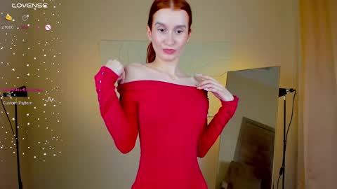 Snapshot of sallybiscuit chatting on 01/30/25, 04:45 Sally online show from 01/30/25, 04:45