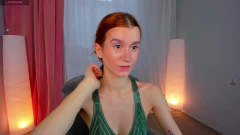 Snapshot of sallybiscuit chatting on 02/21/25, 10:28 Sally online show from 02/21/25, 10:28