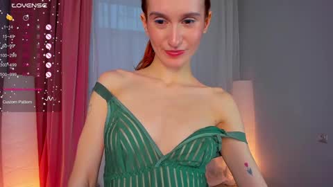 Snapshot of sallybiscuit chatting on 02/21/25, 01:33 Sally online show from 02/21/25, 01:33