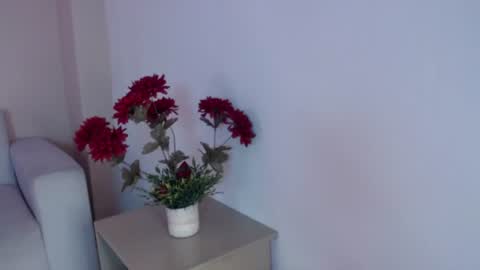 Snapshot of salome__2002 chatting on 07/06/26, 12:13 salome__2002 online show from 07/06/26, 12:13