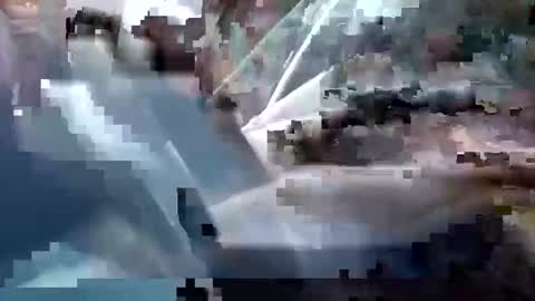 sam223382879 online show from 12/25/24, 03:28