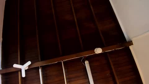 Alejandra  online show from 10/24/25, 10:00