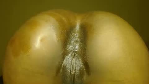 manth online show from 11/14/25, 07:12