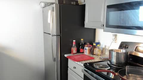 Yaya online show from 01/24/25, 04:59