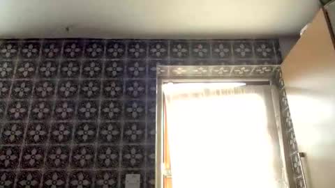 Snapshot of samegee chatting on 10/16/25, 07:20 samegee online show from 10/16/25, 07:20