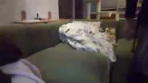 sammi_t online show from 07/19/26, 05:16