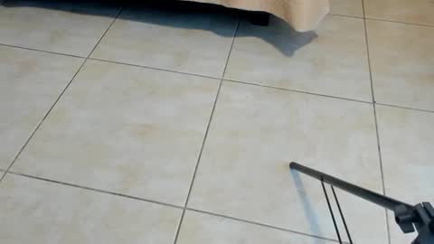 Axel online show from 11/02/25, 12:29