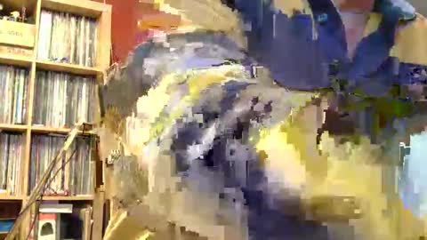 Snapshot of samsenior70 chatting on 11/08/25, 11:58 Sam online show from 11/08/25, 11:58