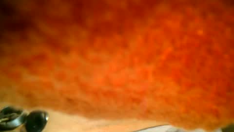 samueltal online show from 10/16/25, 07:37